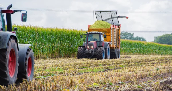Mısır hasadı, mısır tarlası hasat aracı, traktörlü hasat kamyonu.