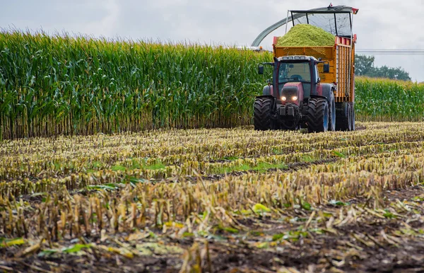 Corn Harvest Corn Forage Harvester Action Harvest Truck Tractor — Stock Photo, Image