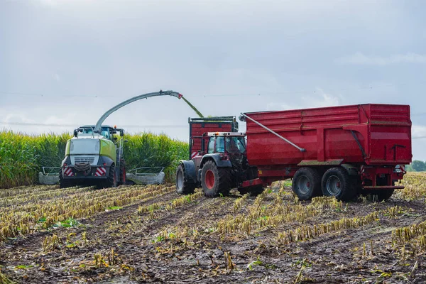 Mısır hasadı, mısır tarlası hasat aracı, traktörlü hasat kamyonu.