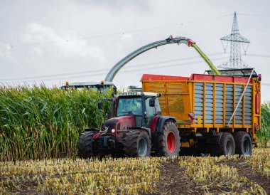Mısır hasadı, mısır tarlası hasat aracı, traktörlü hasat kamyonu.