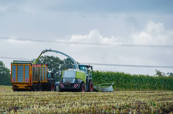 Kukorica Betakarítás Kukoricaszedő Akcióban Traktoros Betakarító Teherautó — Stock Fotó