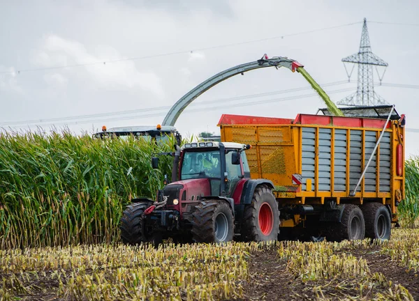 Mısır hasadı, mısır tarlası hasat aracı, traktörlü hasat kamyonu.