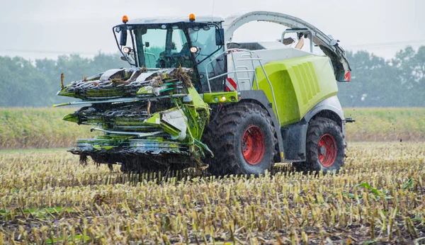 Maisernte Mähdrescher Einsatz Erntewagen Mit Traktor — Stockfoto