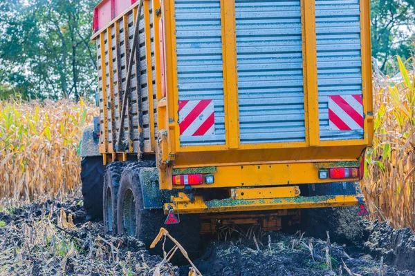 Mısır hasadı, mısır tarlası hasat aracı, traktörlü hasat kamyonu.
