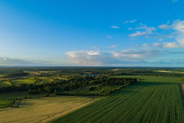 Drone Uçuş ve Mısır alanın üzerinde havadan görünümü