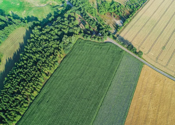 Luftaufnahme Von Feldern Landschaftsaufnahme — Fotografia de Stock