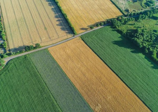 Luftaufnahme Von Feldern Landschaftsaufnahme — Fotografia de Stock