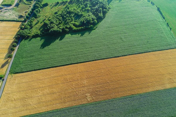 Luftaufnahme Von Feldern Landschaftsaufnahme — Stock Fotó