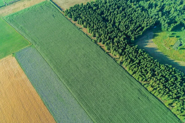 Luftaufnahme Von Feldern Landschaftsaufnahme — Stock Fotó