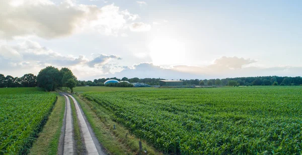 Biogassanlegg Kraftproduksjon Energi – stockfoto