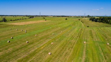 Haymaking bir tarlada yuvarlak balyalara dönüştü