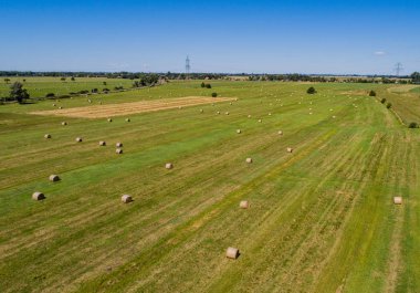 Haymaking bir tarlada yuvarlak balyalara dönüştü