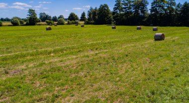 Haymaking bir tarlada yuvarlak balyalara dönüştü