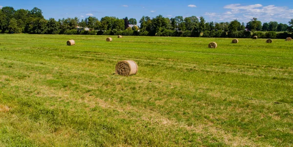 Haymaking Transformado Fardos Redondos Campo — Fotografia de Stock