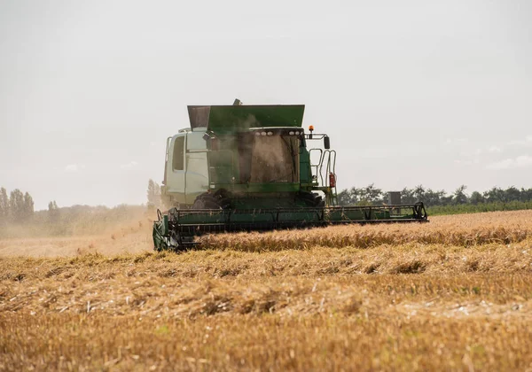 Збирання Зернових Пшеничному Полі — стокове фото