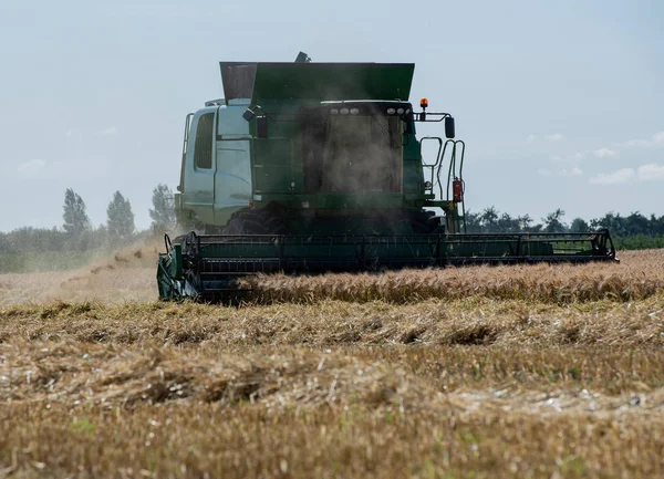 Oogsten Van Graan Een Tarweveld Harvester — Stockfoto