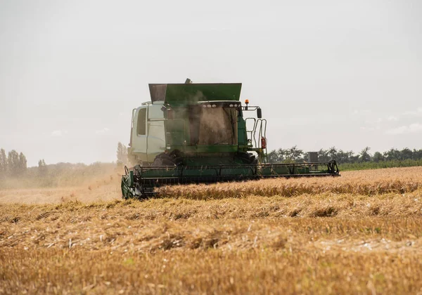 Harvester Harvesting Cereals Wheat Field Stock Image