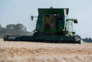 Tahıl hasat hasat birleştirmek