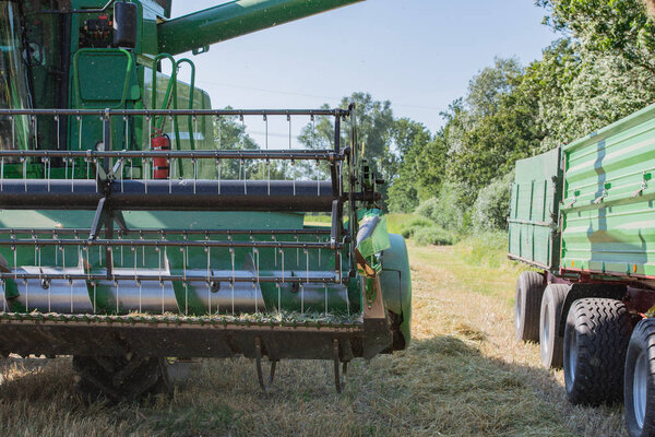 grain harvest combine harvester