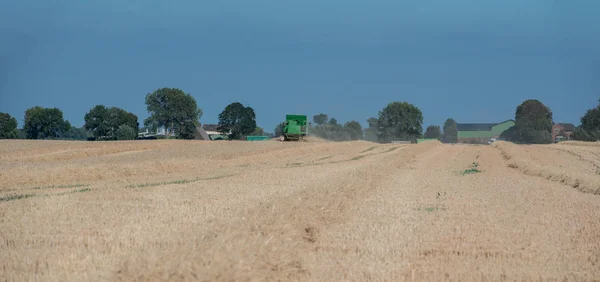 Combina Mietitrebbia Agricoltura Macchina Raccolta Dorato Campo Grano Maturo — Foto Stock