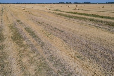 Pipet top sahasında İHA uçuşu