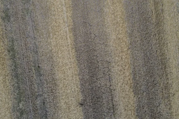 Drohnenflug Über Einem Strohballenfeld — Stockfoto