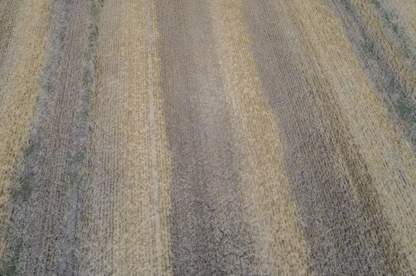 Voo Drone Sobre Campo Bola Redonda Palha — Fotografia de Stock