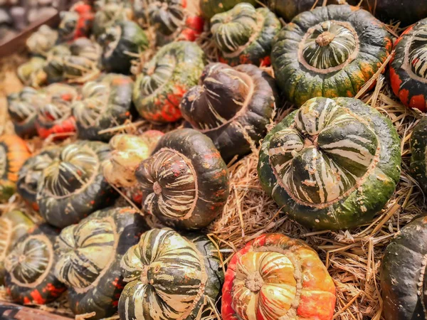 Calabaza Acción Gracias Mercado —  Fotos de Stock