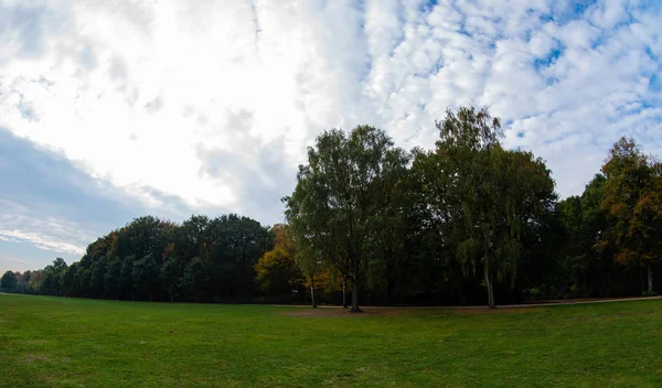 Leaves Get Different Color Beginning Autumn — Stock Photo, Image