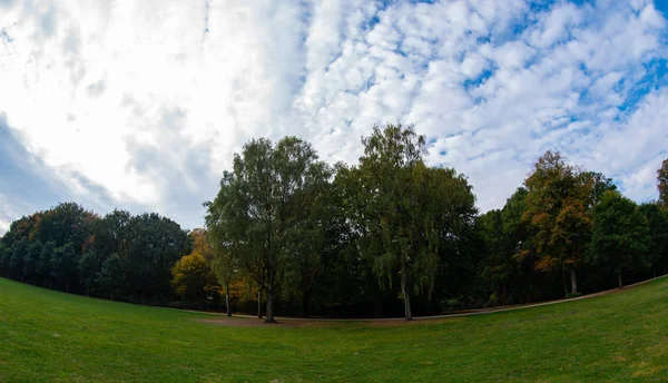 Las Hojas Tienen Color Diferente Principios Otoño — Foto de Stock