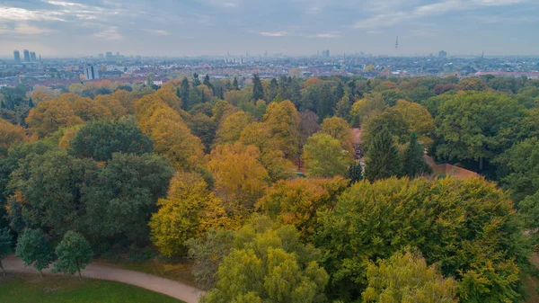 Blätter Bekommen Herbstbeginn Eine Andere Farbe — Stockfoto