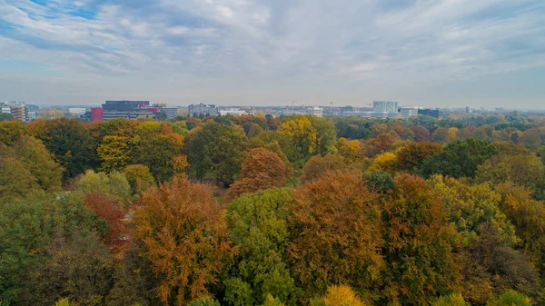 Blätter Bekommen Herbstbeginn Eine Andere Farbe — Stockfoto