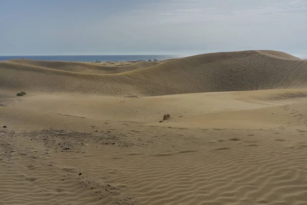 Sand Dunes Place Maspalomas Gran Canaria — Stock Photo, Image