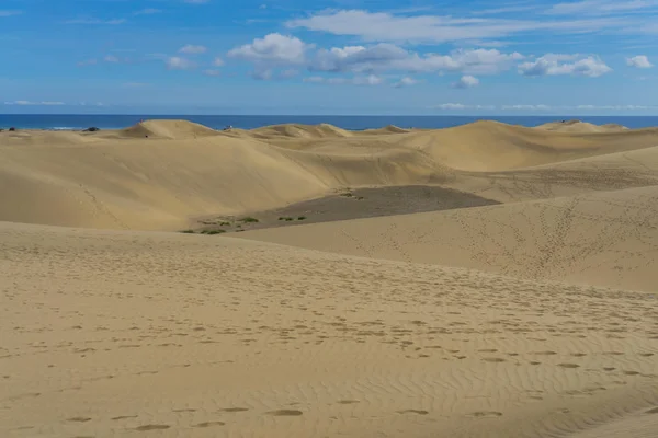 Dunas Areia Local Maspalomas Gran Canaria — Fotografia de Stock