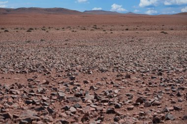 Taş Çölü Namibya Afrika etkin Milli Parkı'nda
