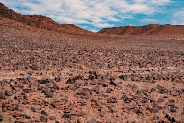 Taş Çölü Namibya Afrika etkin Milli Parkı'nda