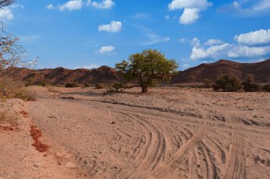 Taş Çölü Namibya Afrika etkin Milli Parkı'nda