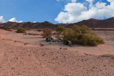 Taş Çölü Namibya Afrika etkin Milli Parkı'nda