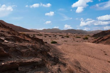 Taş Çölü Namibya Afrika etkin Milli Parkı'nda