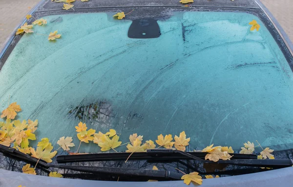 Janela Carro Congelada Para Início Inverno — Fotografia de Stock