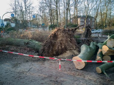 Hamburg ağaçlar fırtınada cordon kasetle Feuerwehr Sperrzone Almanca bir metnin itfaiye sınırlı alan için bozdu.