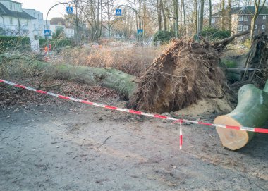 Hamburg ağaçlar fırtınada cordon kasetle Feuerwehr Sperrzone Almanca bir metnin itfaiye sınırlı alan için bozdu.