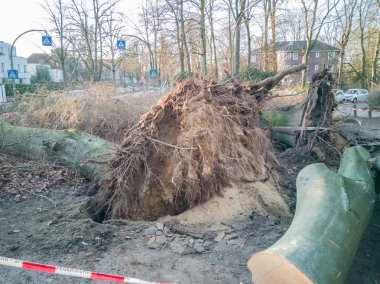 Hamburg ağaçlar fırtınada cordon kasetle Feuerwehr Sperrzone Almanca bir metnin itfaiye sınırlı alan için bozdu.