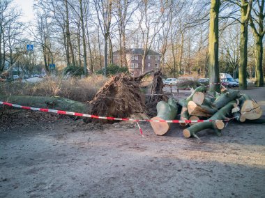 Hamburg ağaçlar fırtınada cordon kasetle Feuerwehr Sperrzone Almanca bir metnin itfaiye sınırlı alan için bozdu.