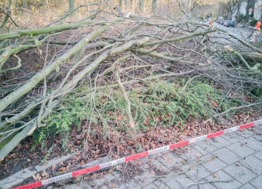 Hamburg ağaçlar fırtınada cordon kasetle Feuerwehr Sperrzone Almanca bir metnin itfaiye sınırlı alan için bozdu.