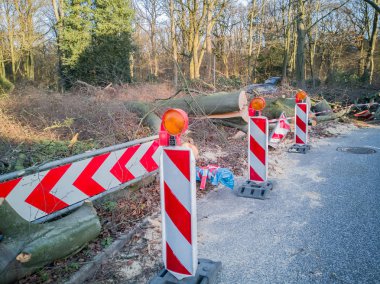 Hamburg ağaçlar fırtınada cordon kasetle Feuerwehr Sperrzone Almanca bir metnin itfaiye sınırlı alan için bozdu.