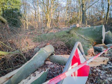 Hamburg ağaçlar fırtınada cordon kasetle Feuerwehr Sperrzone Almanca bir metnin itfaiye sınırlı alan için bozdu.
