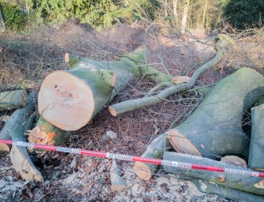 Hamburg ağaçlar fırtınada cordon kasetle Feuerwehr Sperrzone Almanca bir metnin itfaiye sınırlı alan için bozdu.
