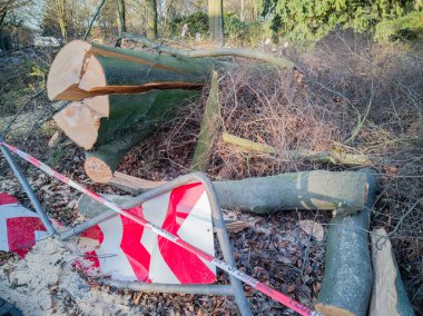 Hamburg ağaçlar fırtınada cordon kasetle Feuerwehr Sperrzone Almanca bir metnin itfaiye sınırlı alan için bozdu.