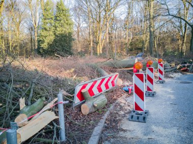 Hamburg ağaçlar fırtınada cordon kasetle Feuerwehr Sperrzone Almanca bir metnin itfaiye sınırlı alan için bozdu.